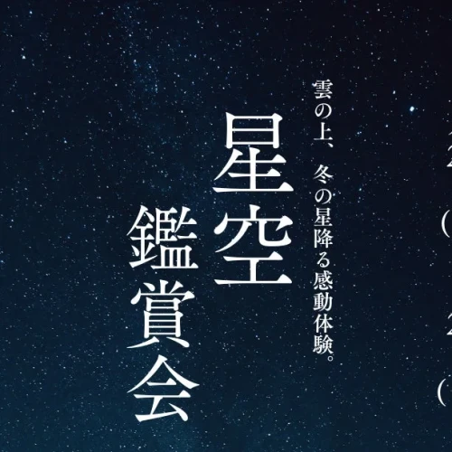 34232a80a04bb8399a3d671bcb457e12