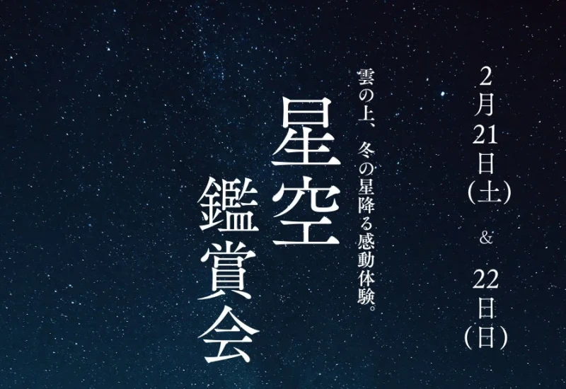 34232a80a04bb8399a3d671bcb457e12