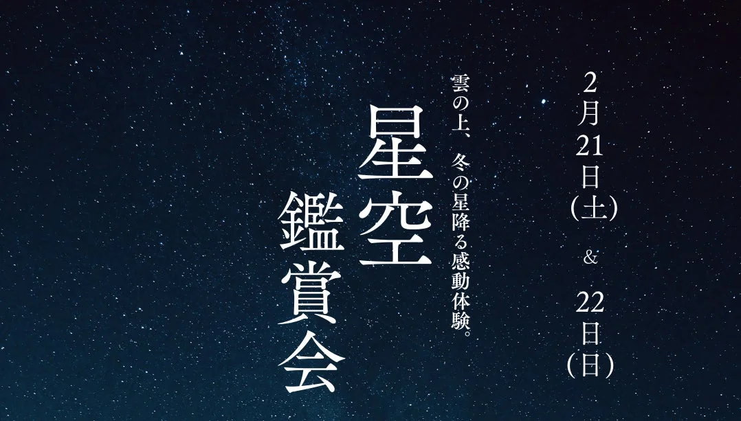 34232a80a04bb8399a3d671bcb457e12