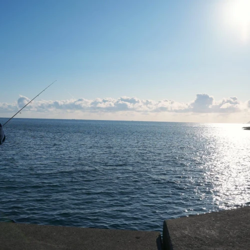 80286b71ac01457fb82c14843d7e0d68