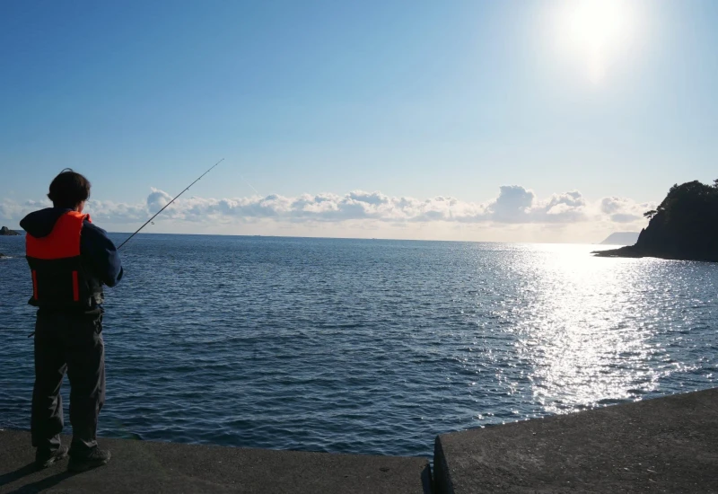 80286b71ac01457fb82c14843d7e0d68