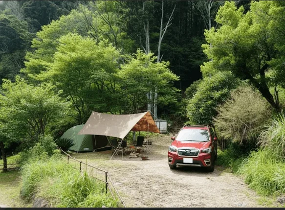 森の中のキャンプサイト
