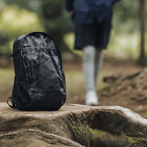 B569fda4b6c459199a1a5bef7eda9c36