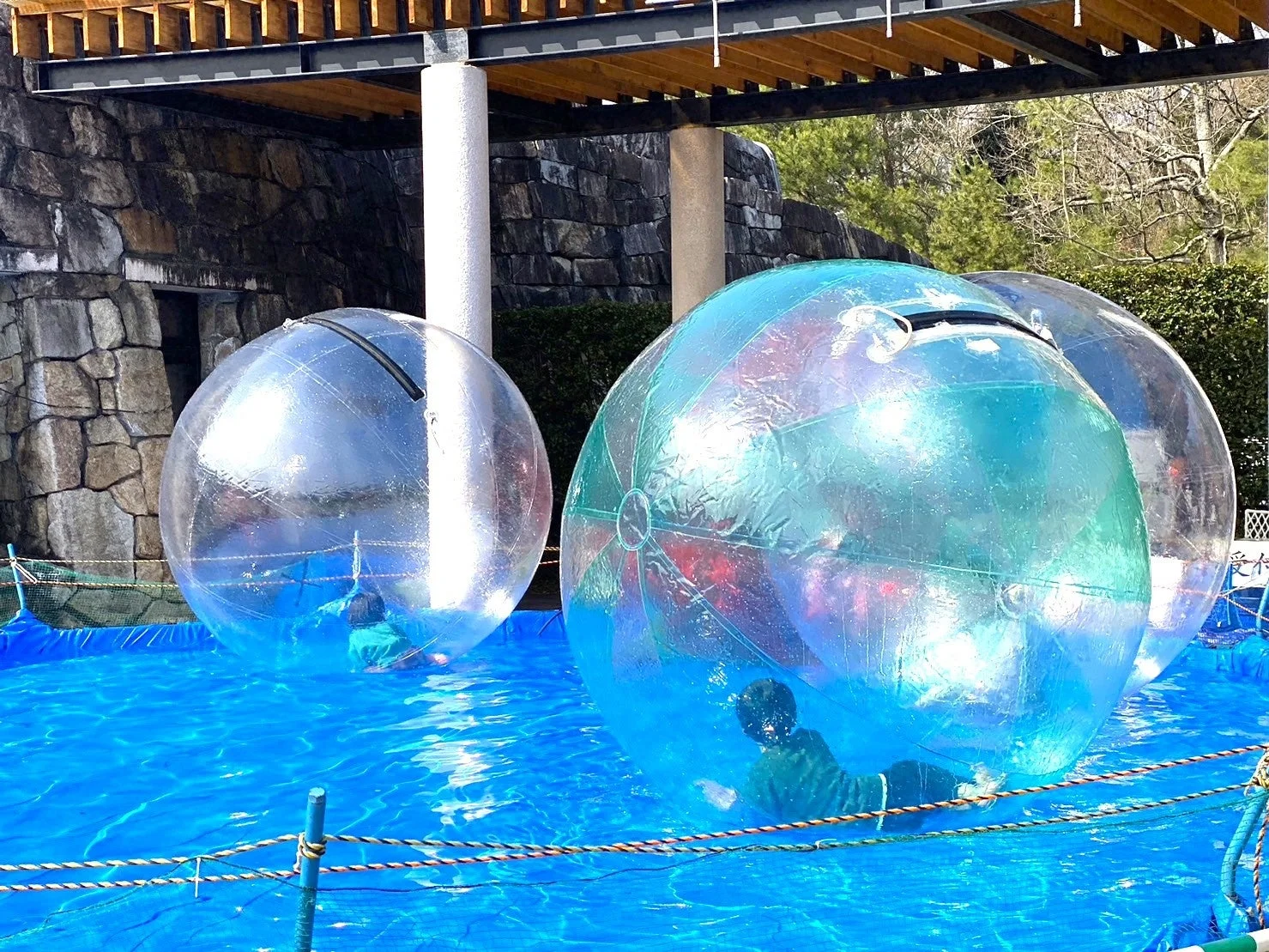 青いプールで、透明な巨大なボールに入った人々が水上を歩いている様子