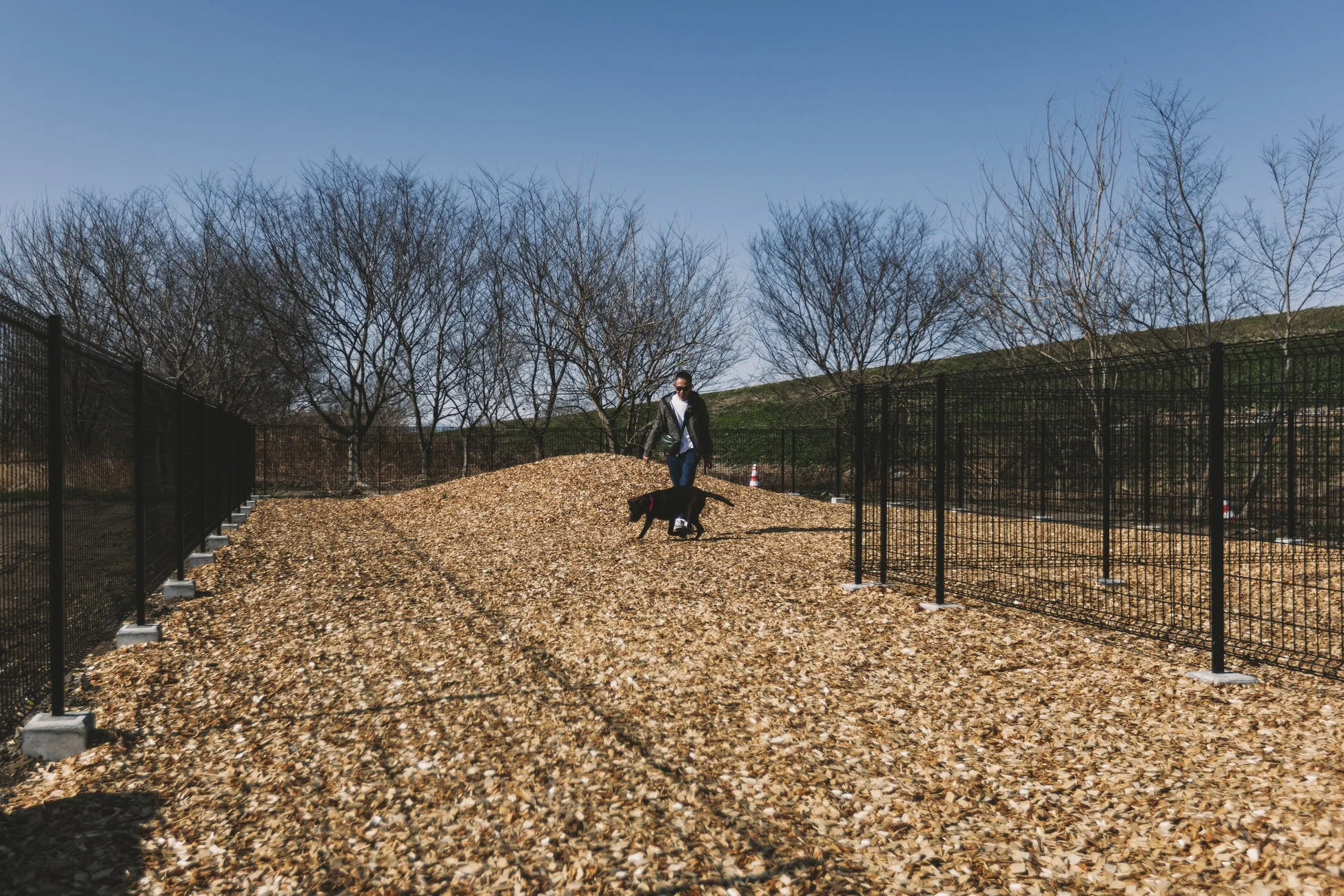 ウッドチップが敷き詰められたドッグラン