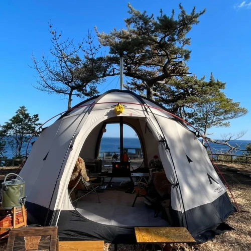 23918073149472929e1e682789277736