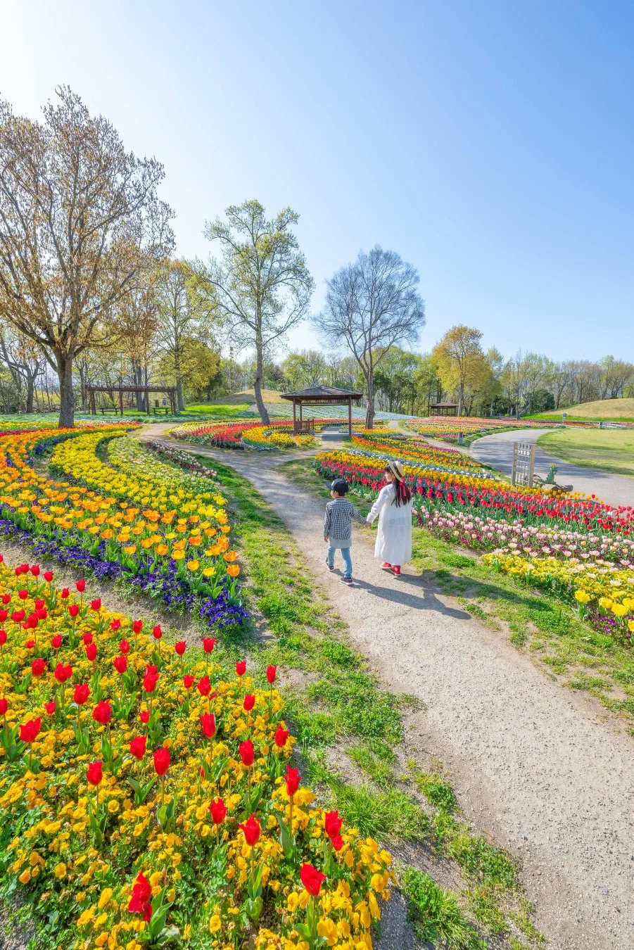 色とりどりのチューリップが咲き誇る公園の小道を、二人の子供が手をつないで歩いている春の美しい風景