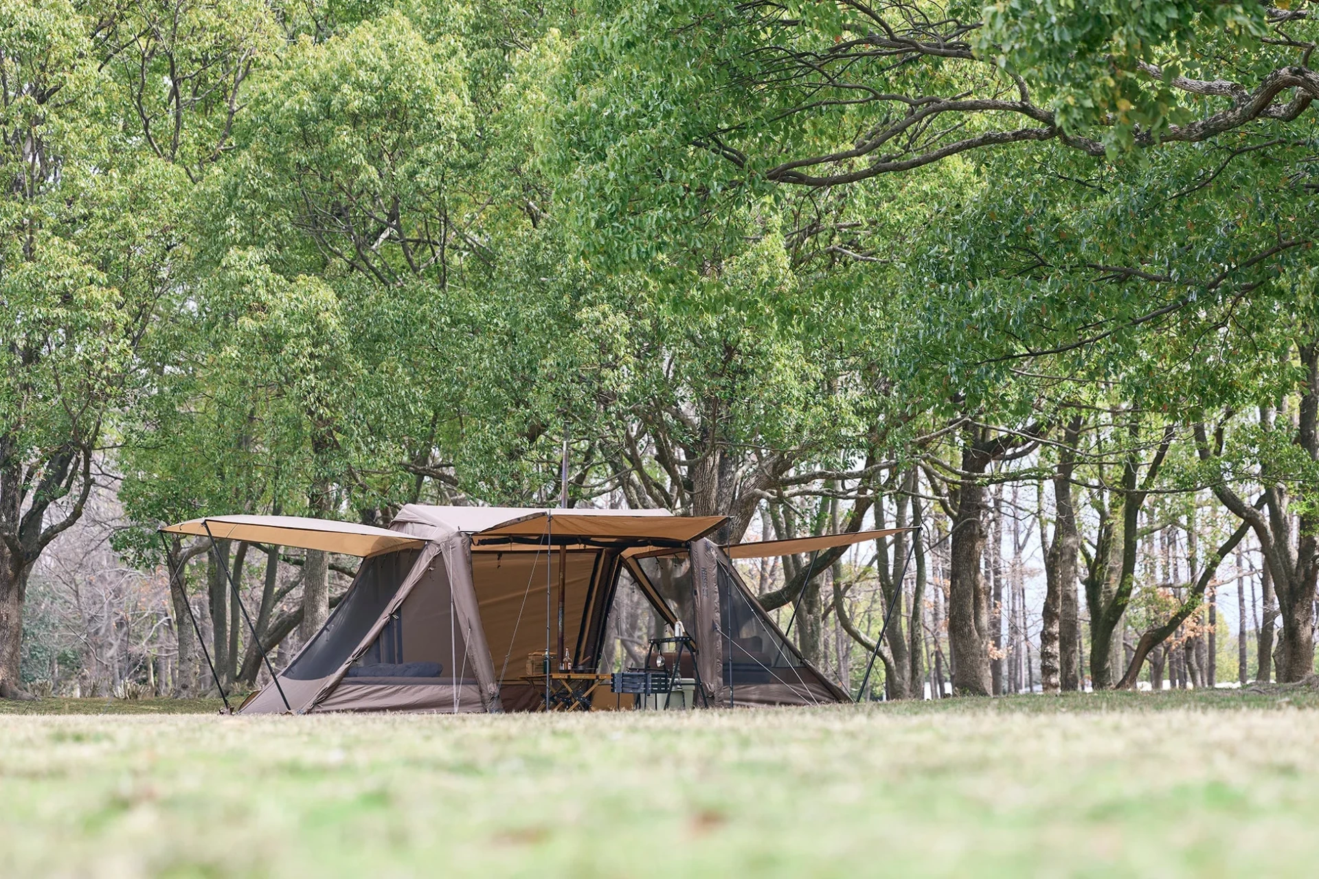 緑豊かな木々に囲まれた広々とした草地に、ブラウンの大型テントが設営されている風景