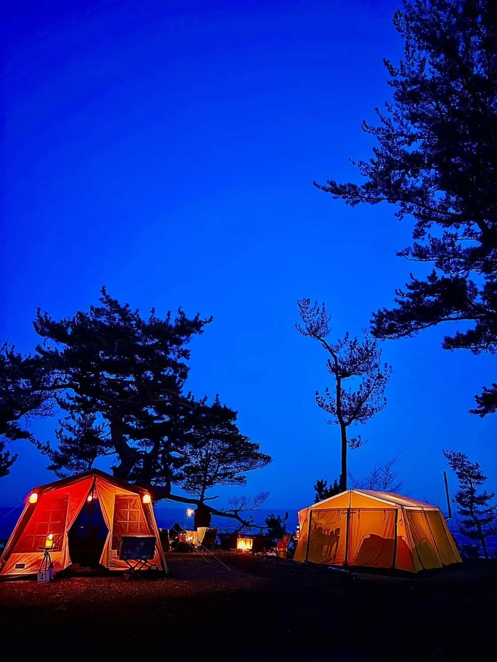 夜のキャンプ風景。深い青色の空の下、二つのテントが温かい光を放ち、周囲の木々がシルエットになっている。静かで落ち着いたアウトドアの雰囲気が感じられる。