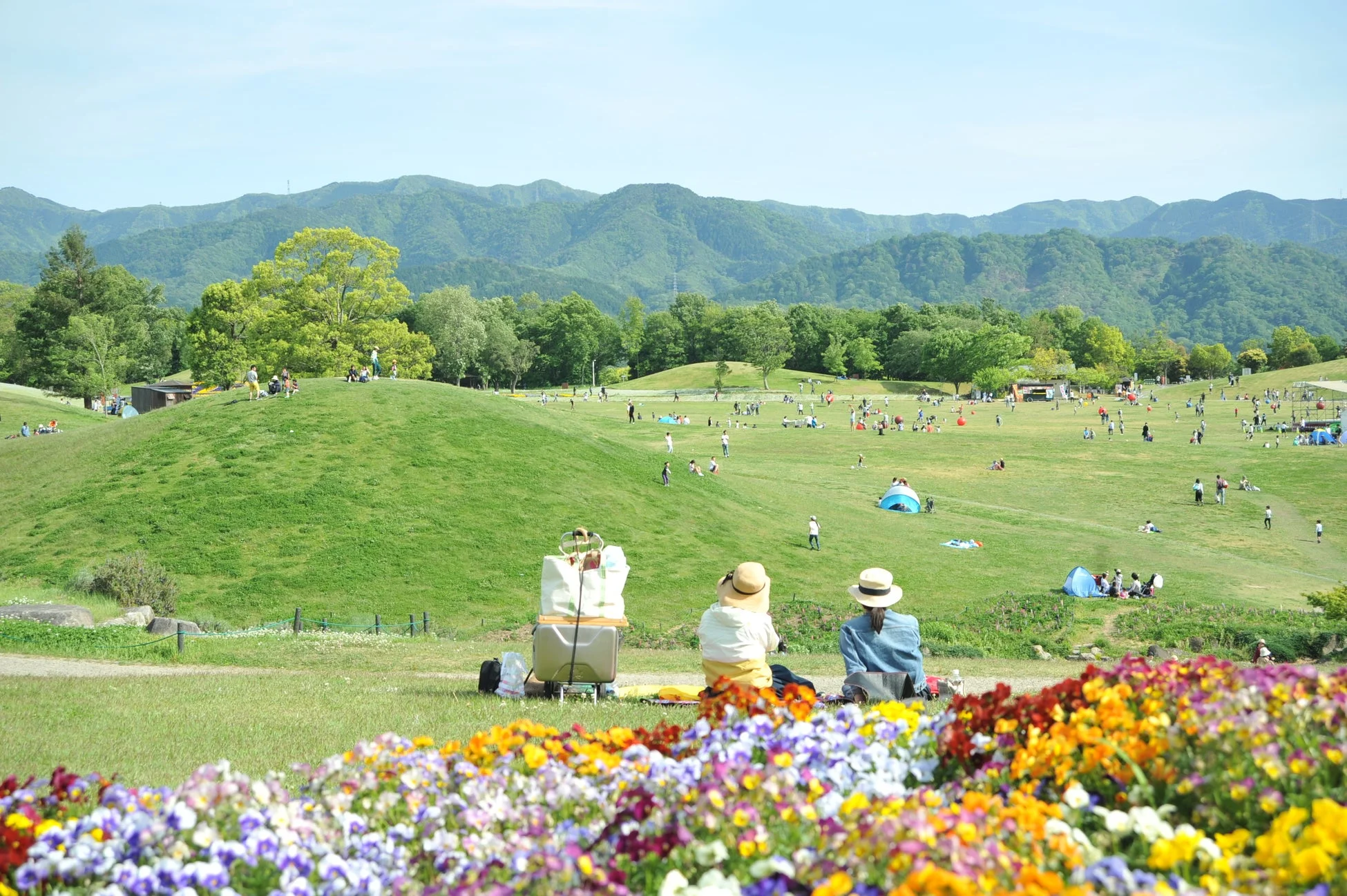 色とりどりの花が咲く手前に、広大な芝生が広がる公園で多くの人々がピクニックやレジャーを楽しんでいる様子