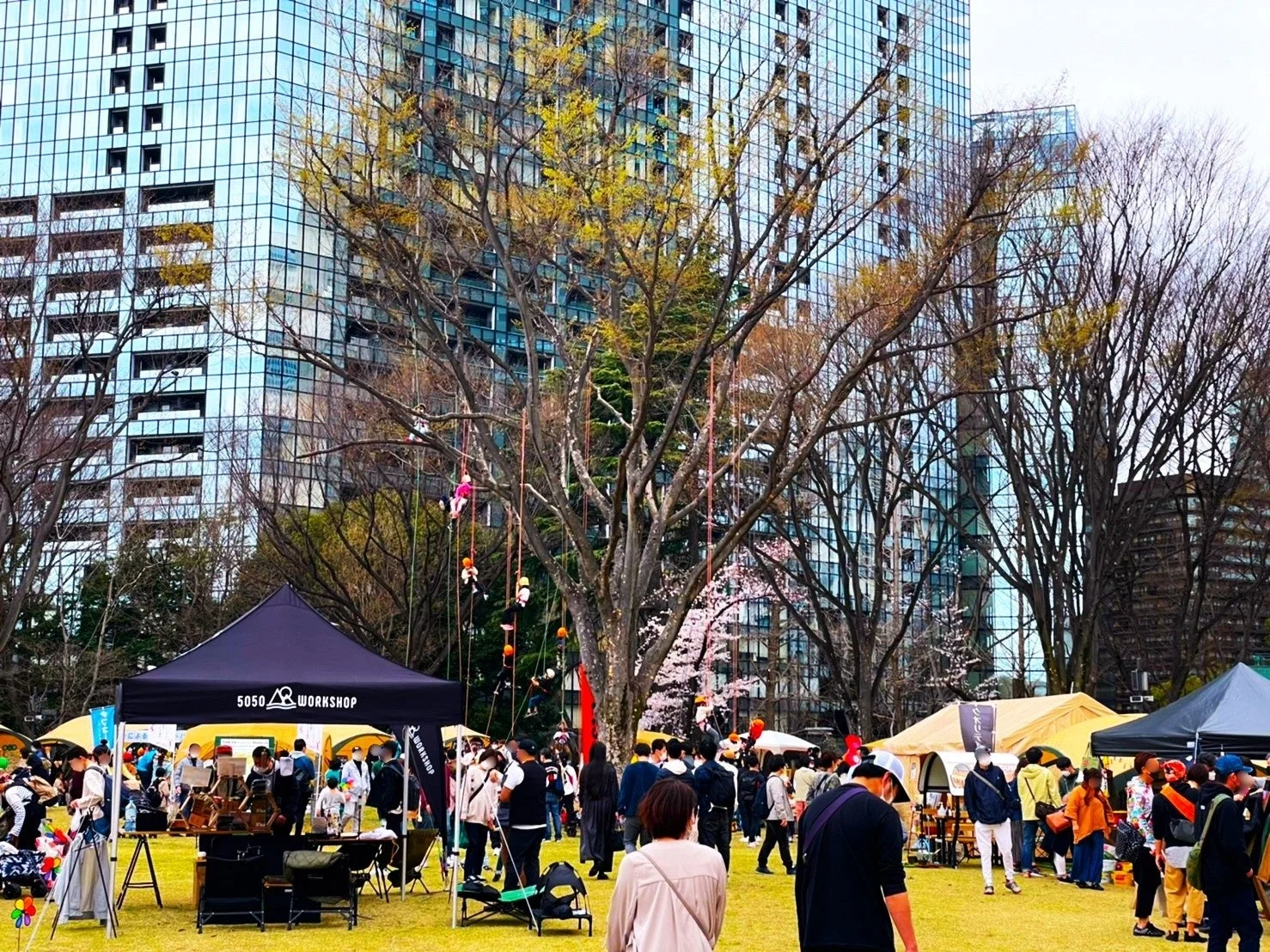 屋外イベントで木登りを楽しむ人々