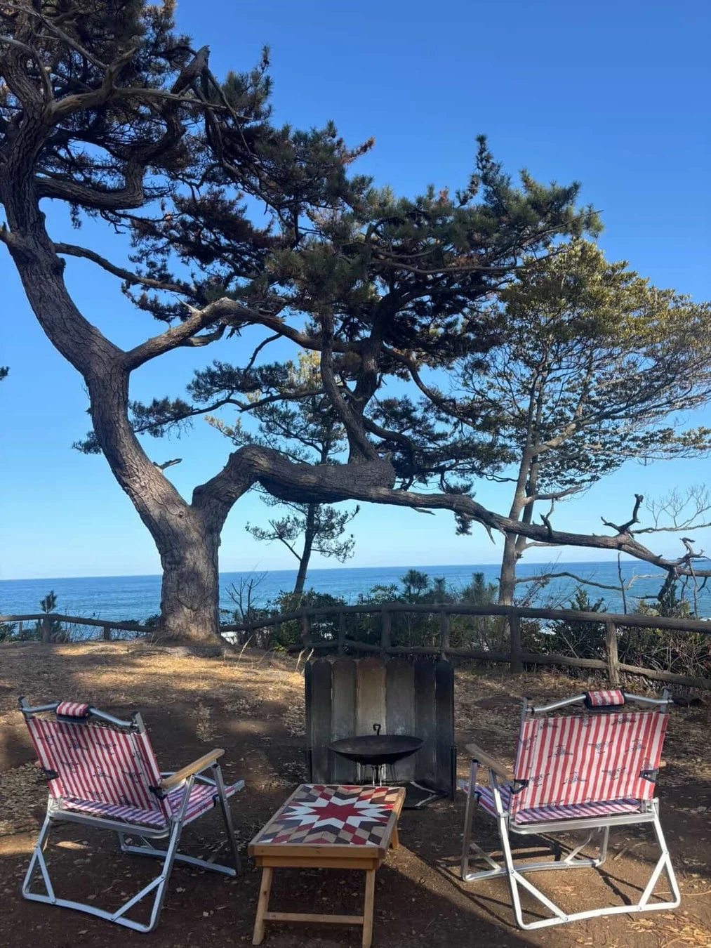 晴れた日に海を望む海岸沿いのキャンプサイトの風景です。大きな松の木の下に、ストライプ柄のキャンプチェアが2脚、焚き火台、そして星柄のテーブルが置かれ、穏やかなアウトドアのひとときを演出しています。