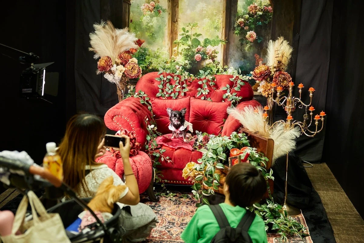 犬の撮影会の様子