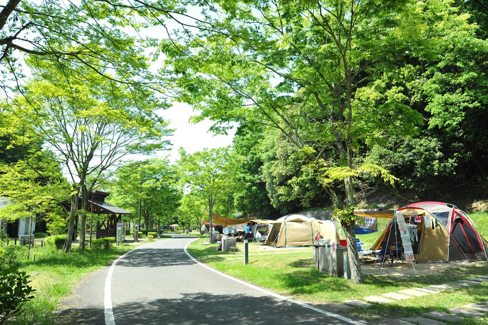 青空の下、新緑が美しい木々に囲まれたキャンプ場の風景