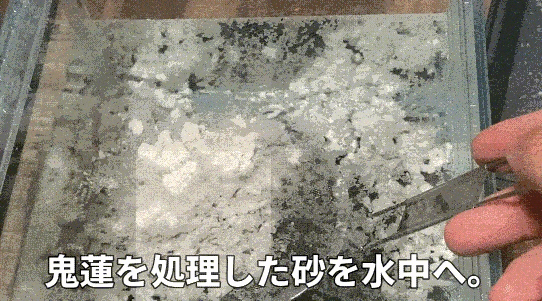 鬼蓮の撥水性能のデモンストレーション