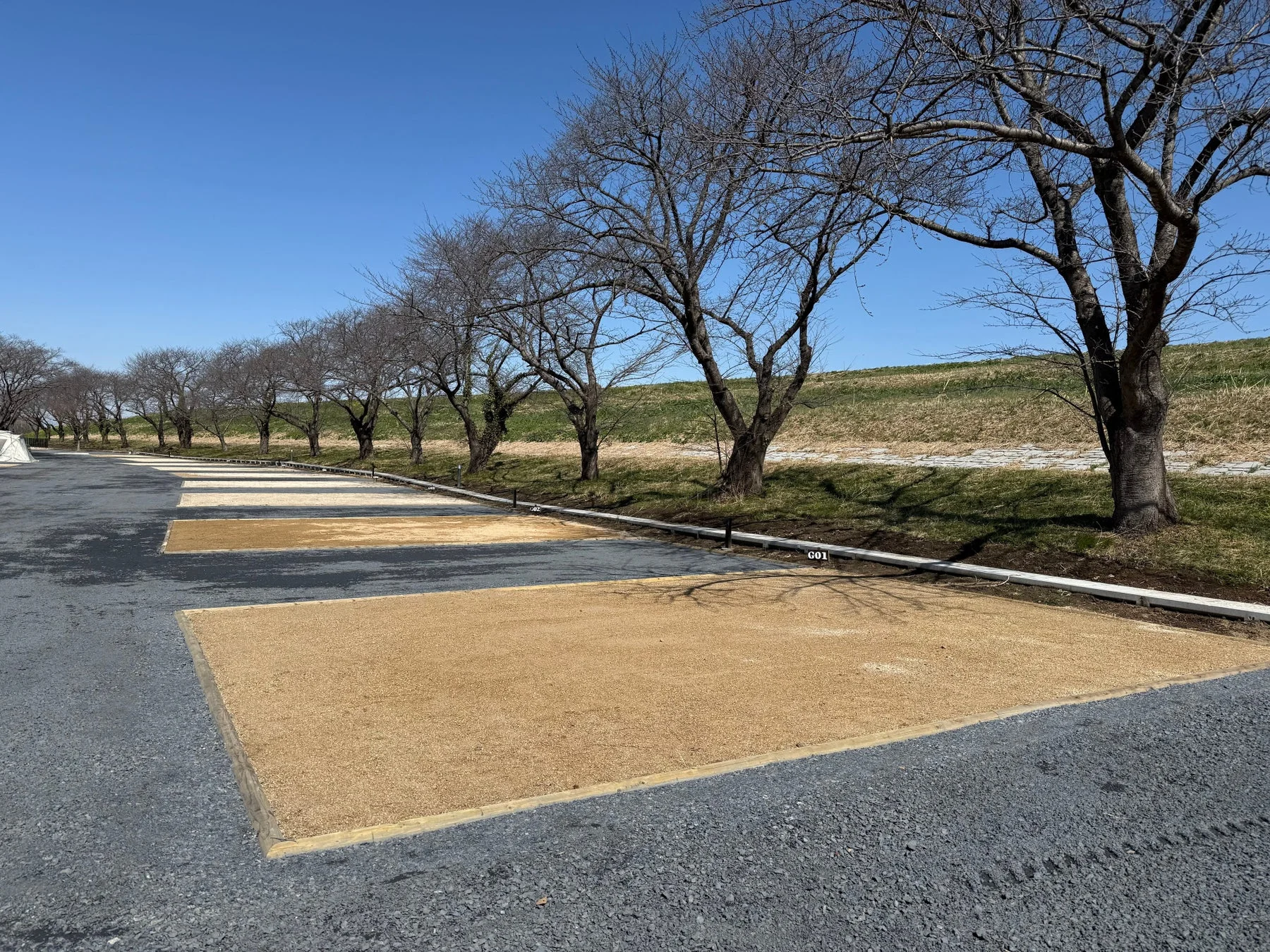 冬の晴れた日のキャンプサイト