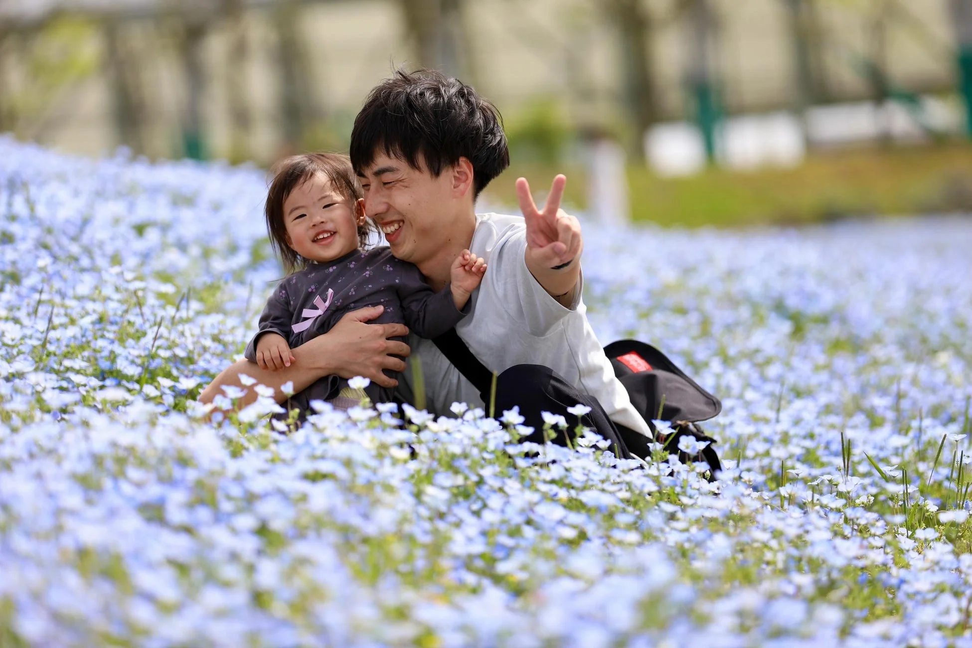 満開のネモフィラ畑で、父親と幼い子供が楽しそうに座っている。父親は子供を抱き、ピースサインをしており、二人とも満面の笑みを浮かべ、春の美しい景色を満喫している様子