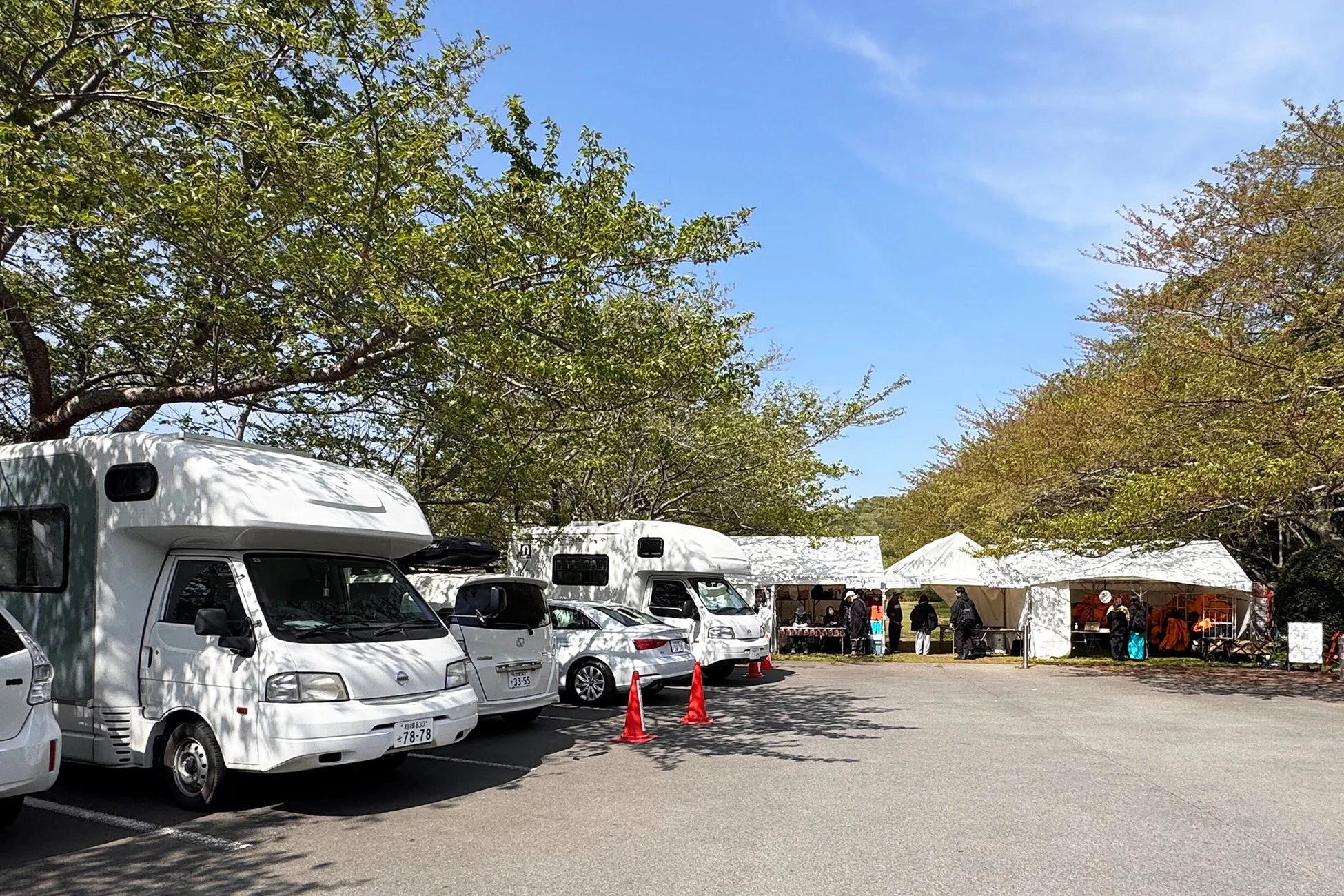 木々の下にある駐車場に複数のキャンピングカーが停まる様子