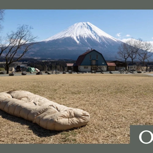 2e049f391e02db2720a6f6046061dbac