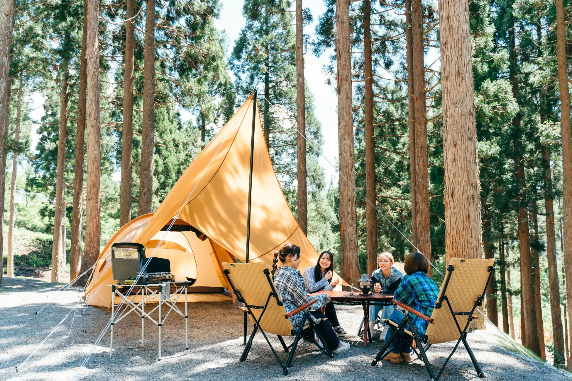 森の中で4人の女性がキャンプを楽しんでいる様子