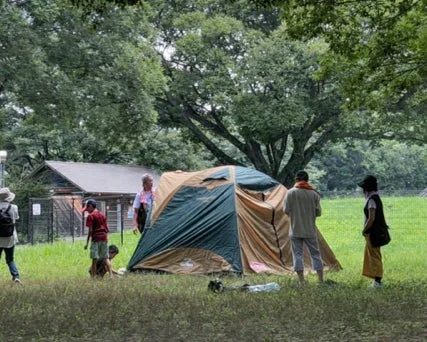 54ca676578c8677f98003e0e41e9f559