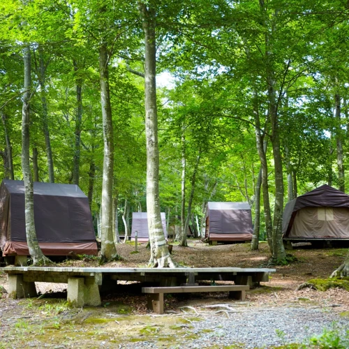 55d0ed7ed68ab188968f17a7c2302f40