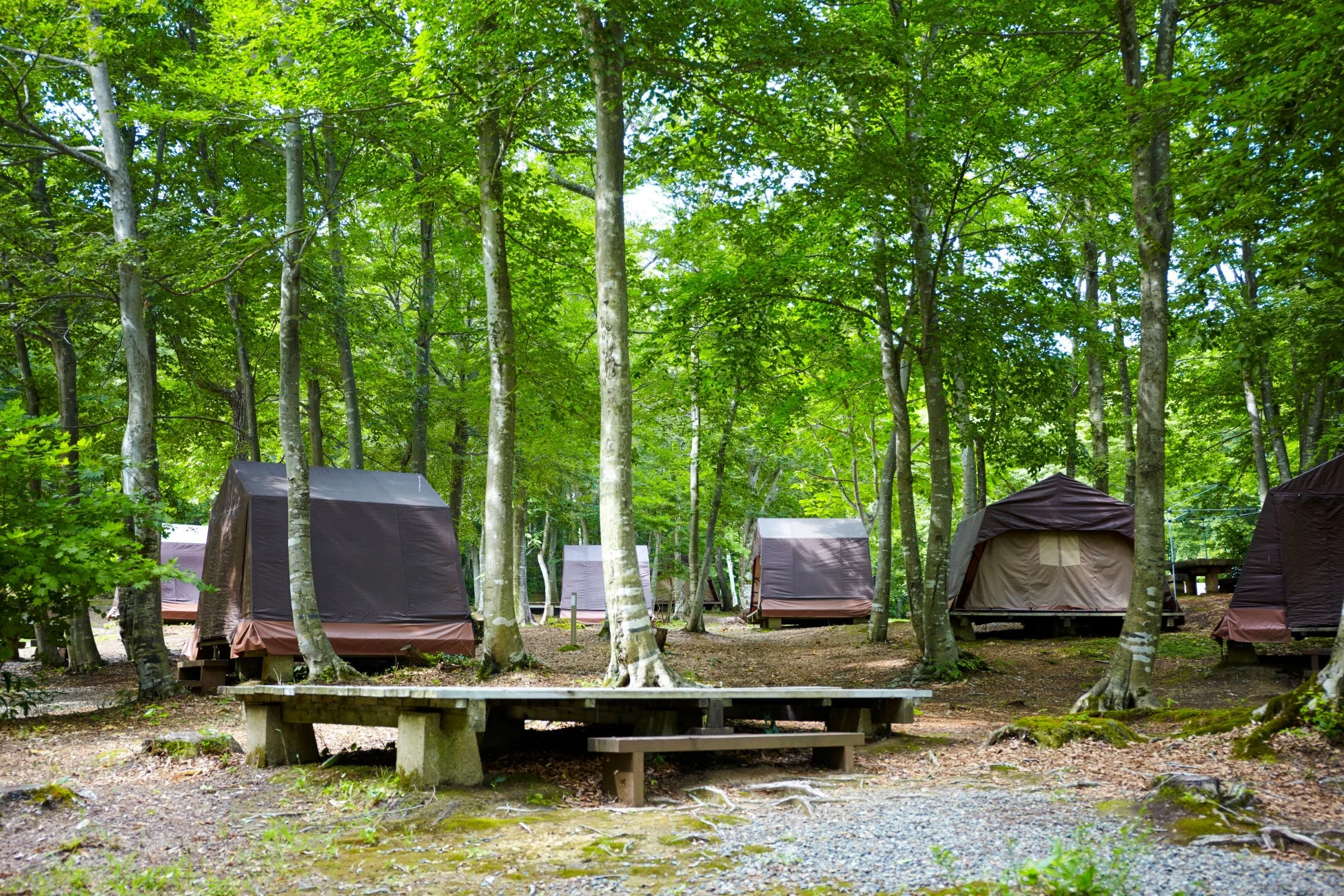 55d0ed7ed68ab188968f17a7c2302f40