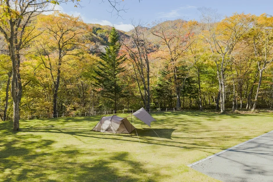 5ae3de6aafc37c933dd33ed11e4d4572