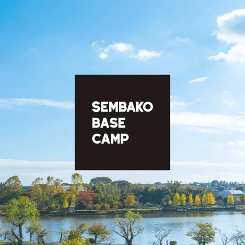 603d66bbd07e7ca59ed96fd577c29e3a