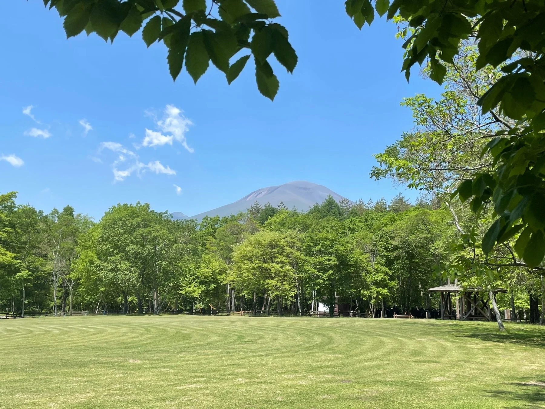 青い空の下、広がる緑の芝生と遠くに見える山々、手前には木々の葉が写る、開放的で美しい自然風景です。整備された広場が印象的です。