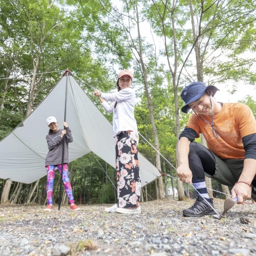 77b65337aada3022ed049abd24ee0c6e