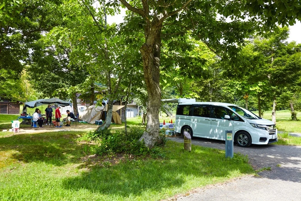 オートサイトの様子