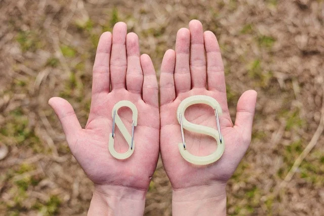 両手に異なるサイズのS字カラビナ（Sビナー）が一つずつ乗せられており、その大きさの違いがよくわかる写真