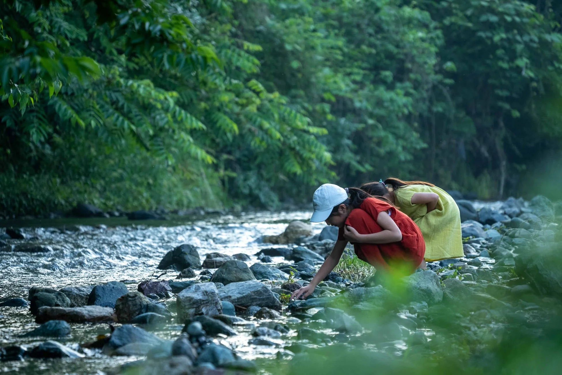 川辺で自然を観察する女の子たち
