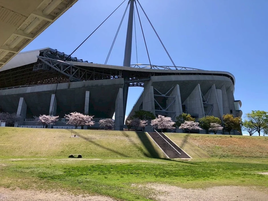 スタジアムと桜