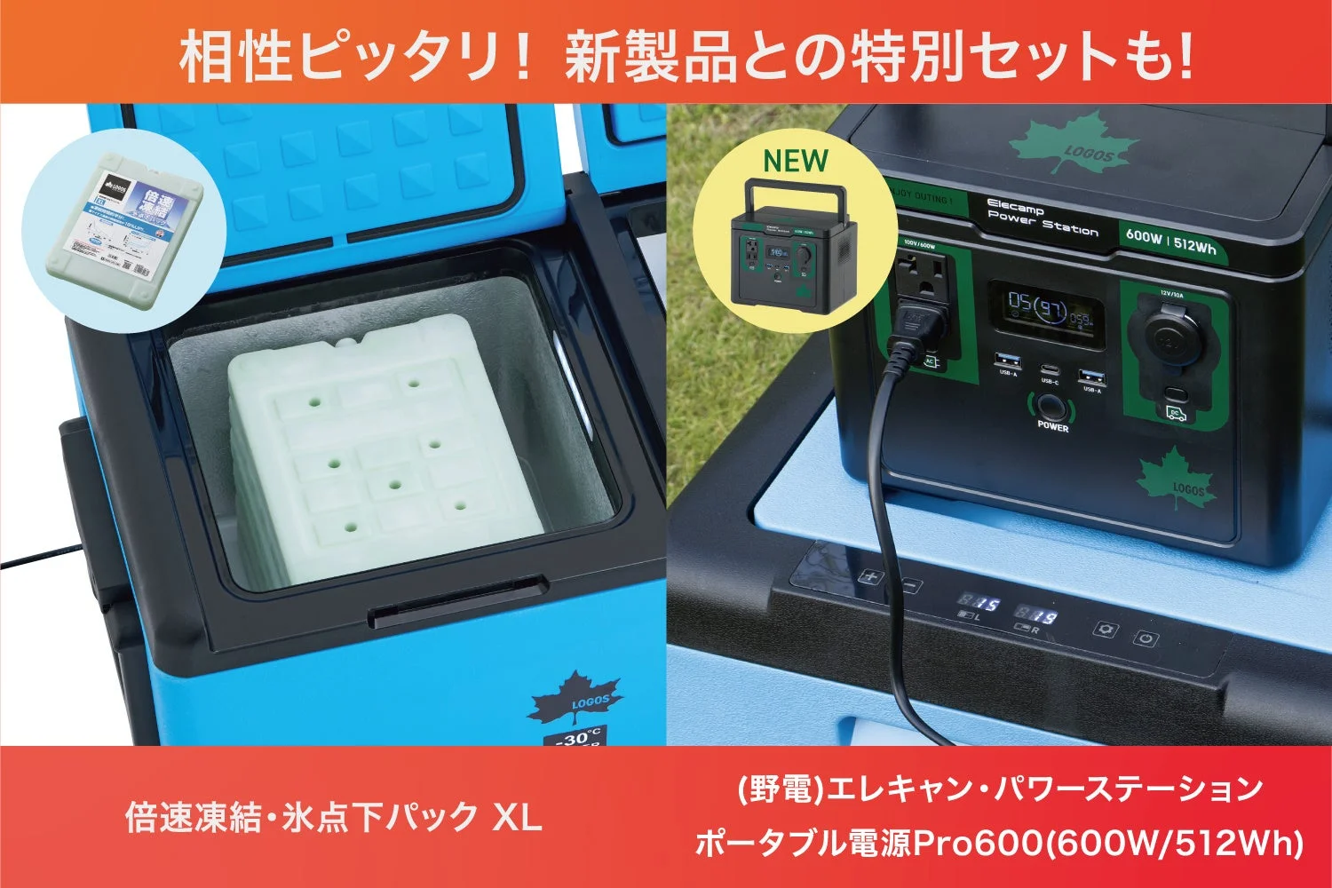 特別セット