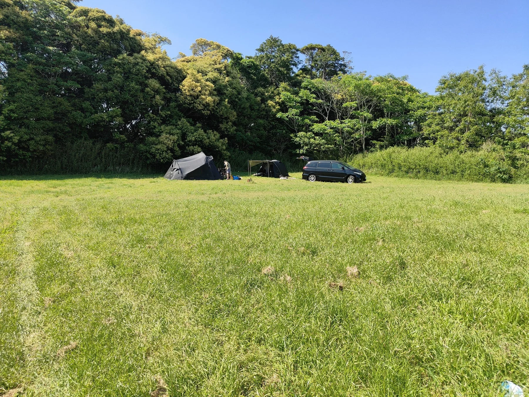広々とした草原でテントと車が並ぶキャンプの様子