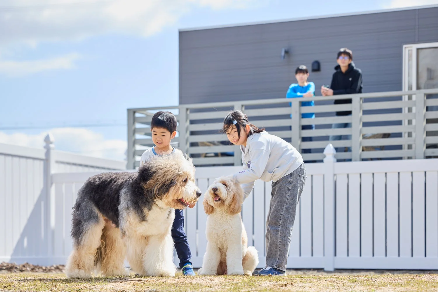庭で犬と遊ぶ家族