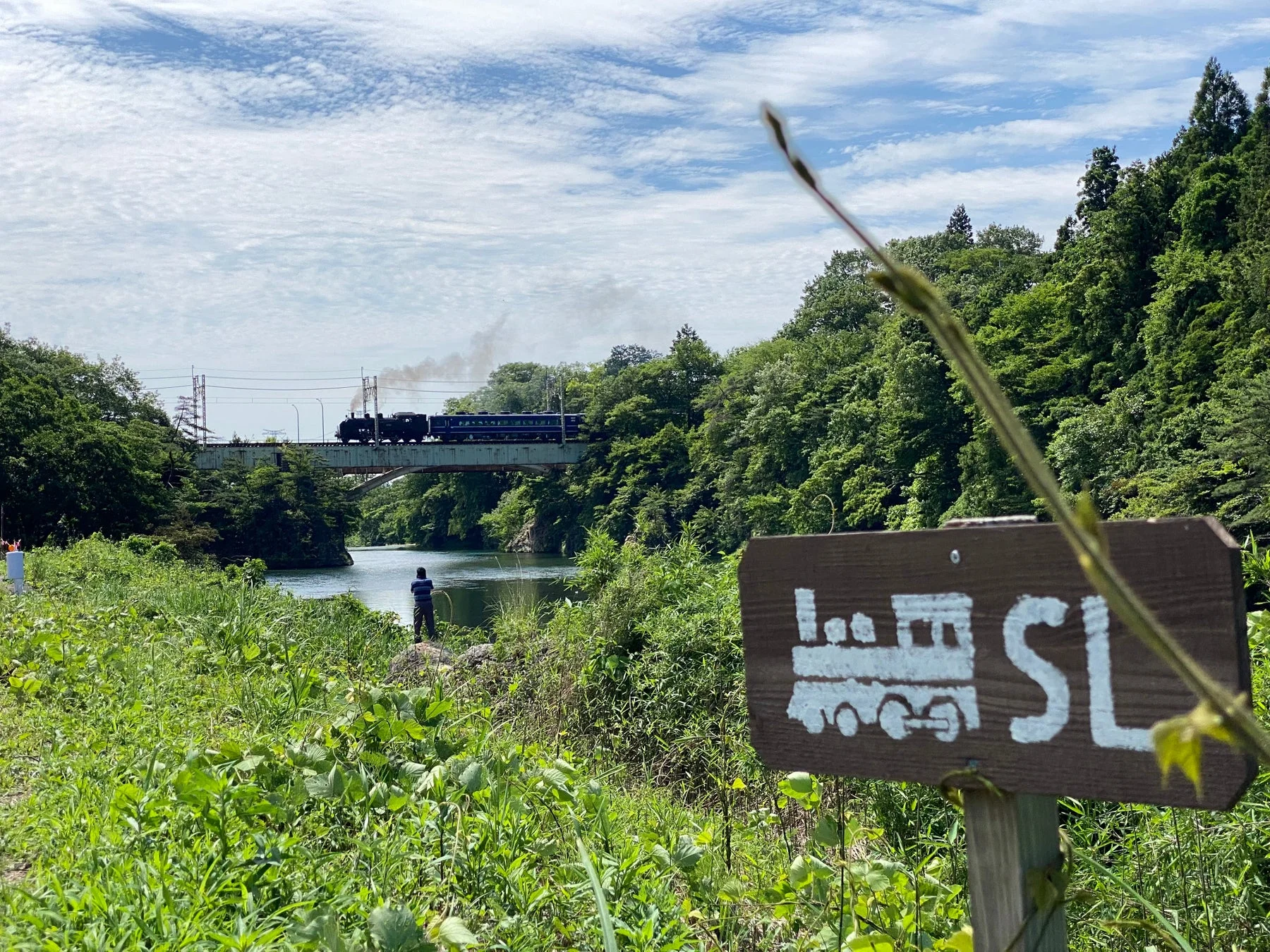 緑豊かな山々と川の間を蒸気機関車が鉄橋を渡る風景