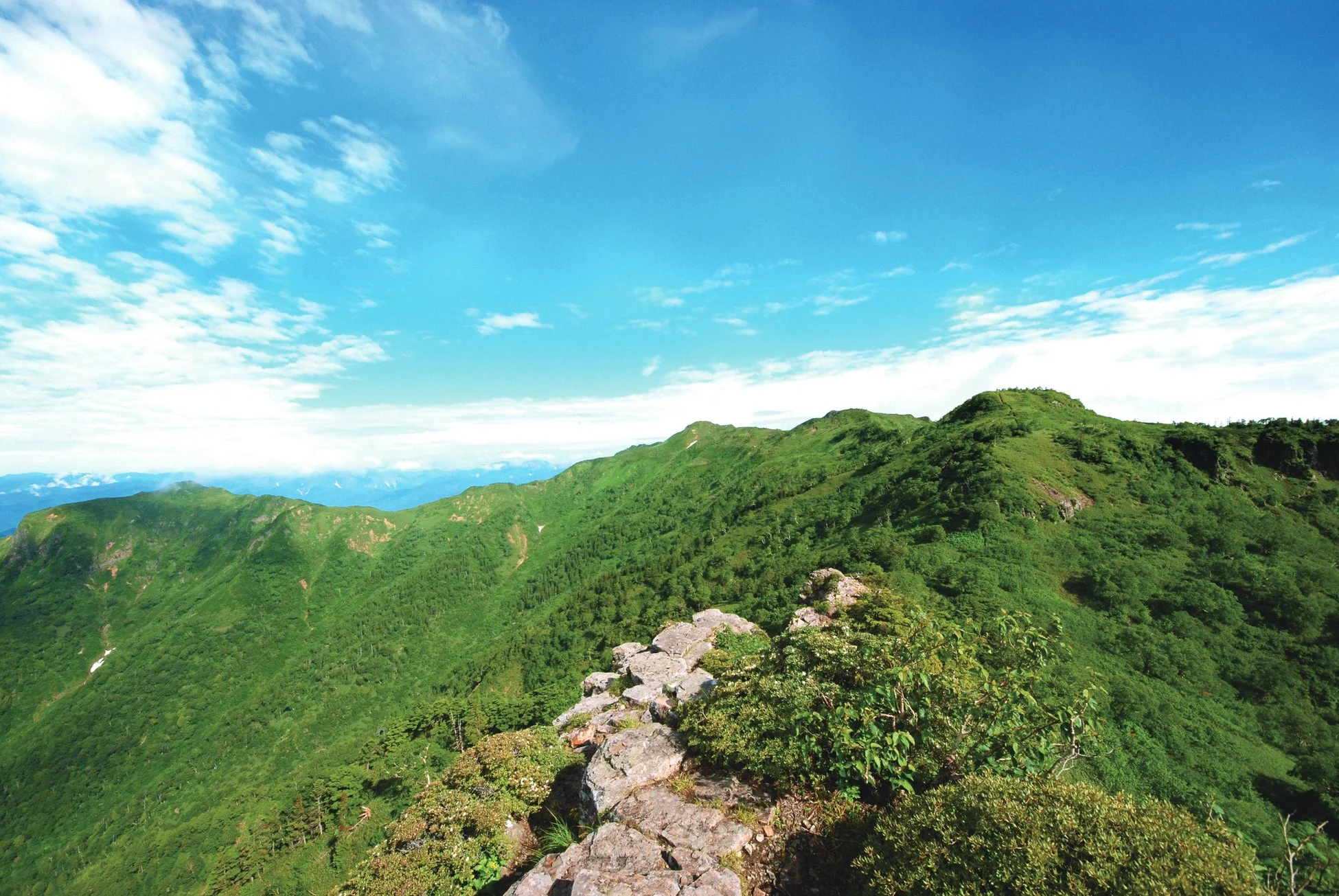晴れた日に広がる緑豊かな山々の壮大な風景