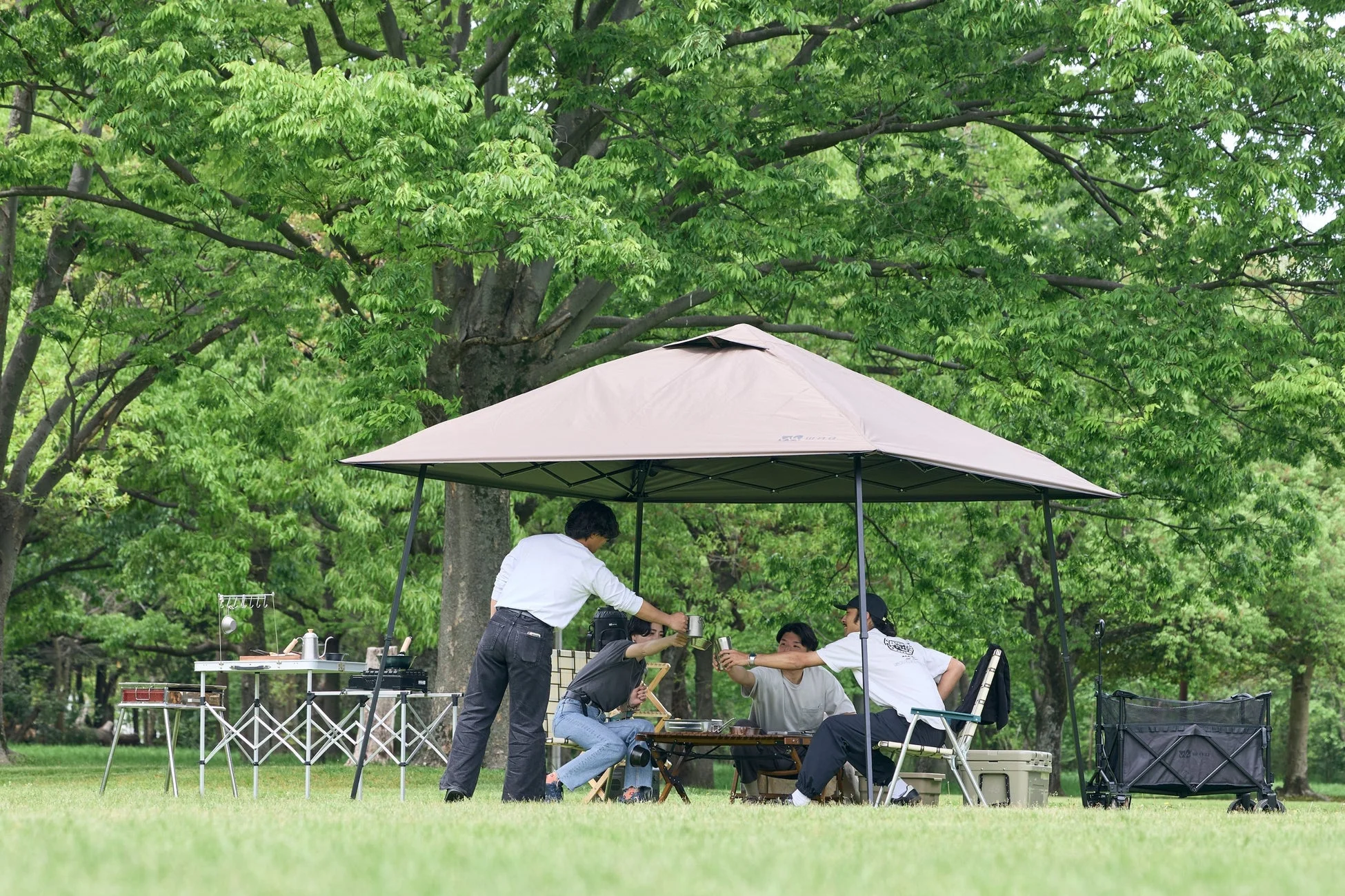 コヨーテカラーのタープ
