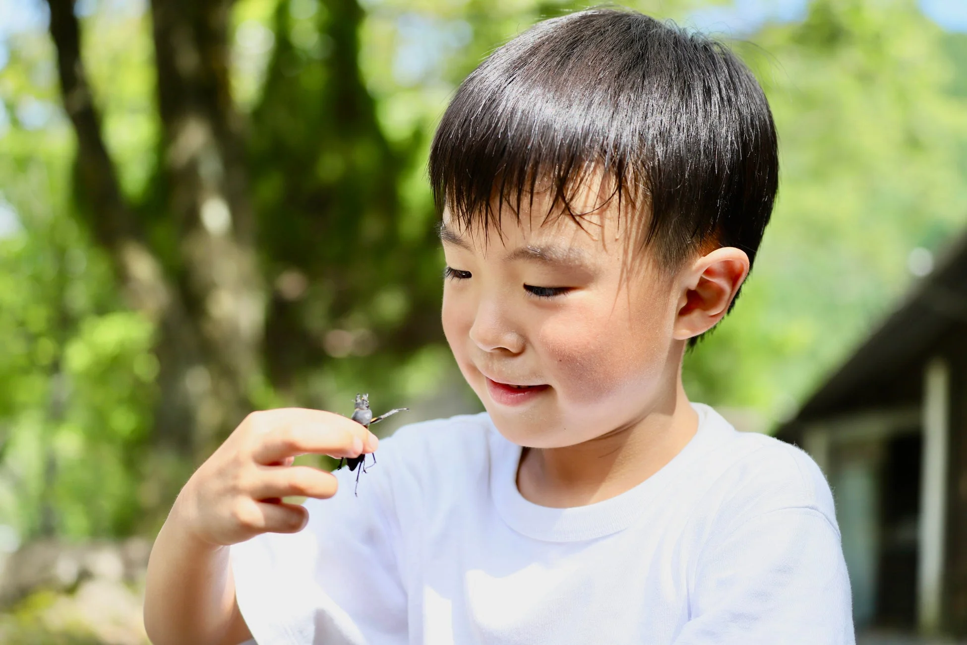 屋外で、指にとまった昆虫（カブトムシのような甲虫）を笑顔で見つめる幼い男の子の姿です。自然の中で生き物と触れ合う、無邪気で好奇心に満ちた瞬間が捉えられています。
