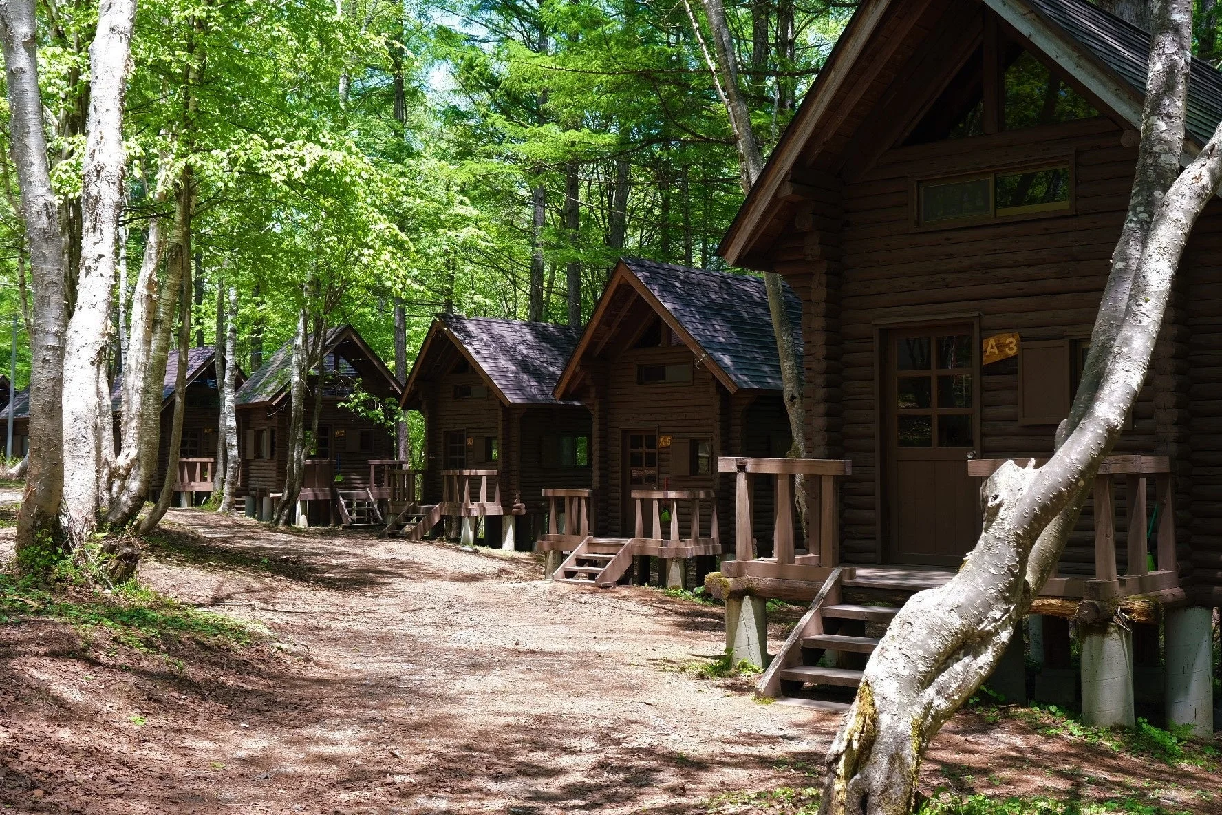 新緑の美しい森の中に、木造のキャビンが複数立ち並ぶ風景