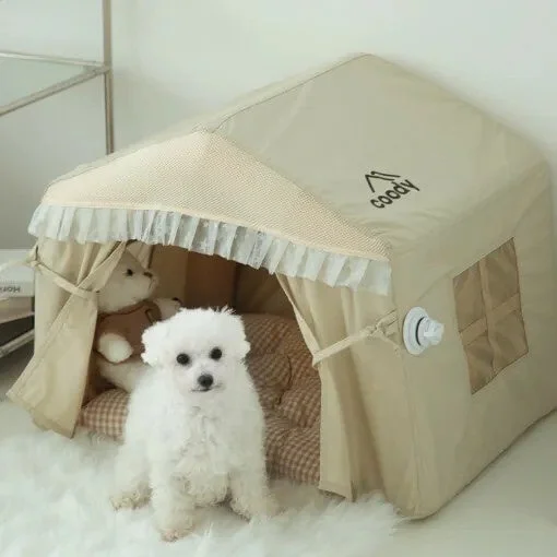 犬