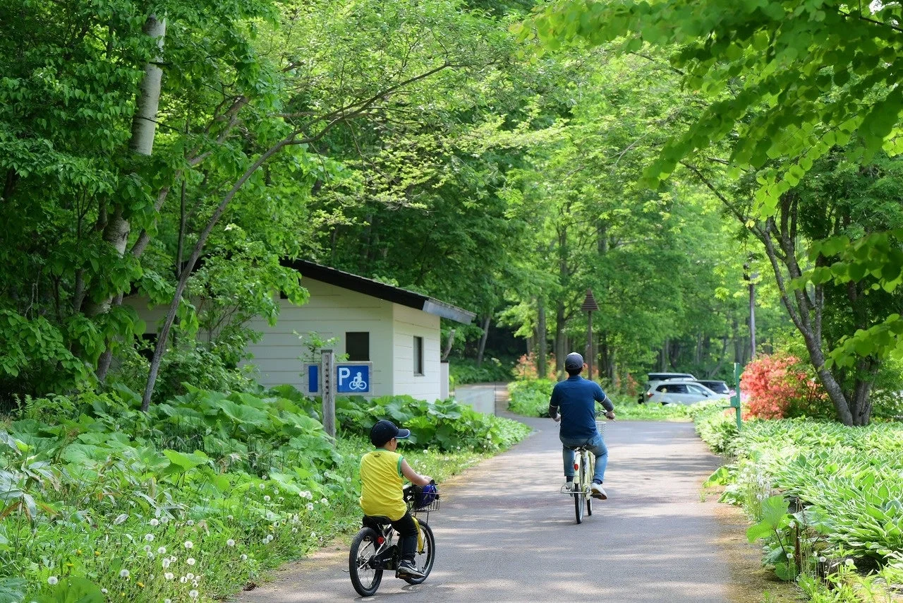 森林公園の小道をサイクリングする親子