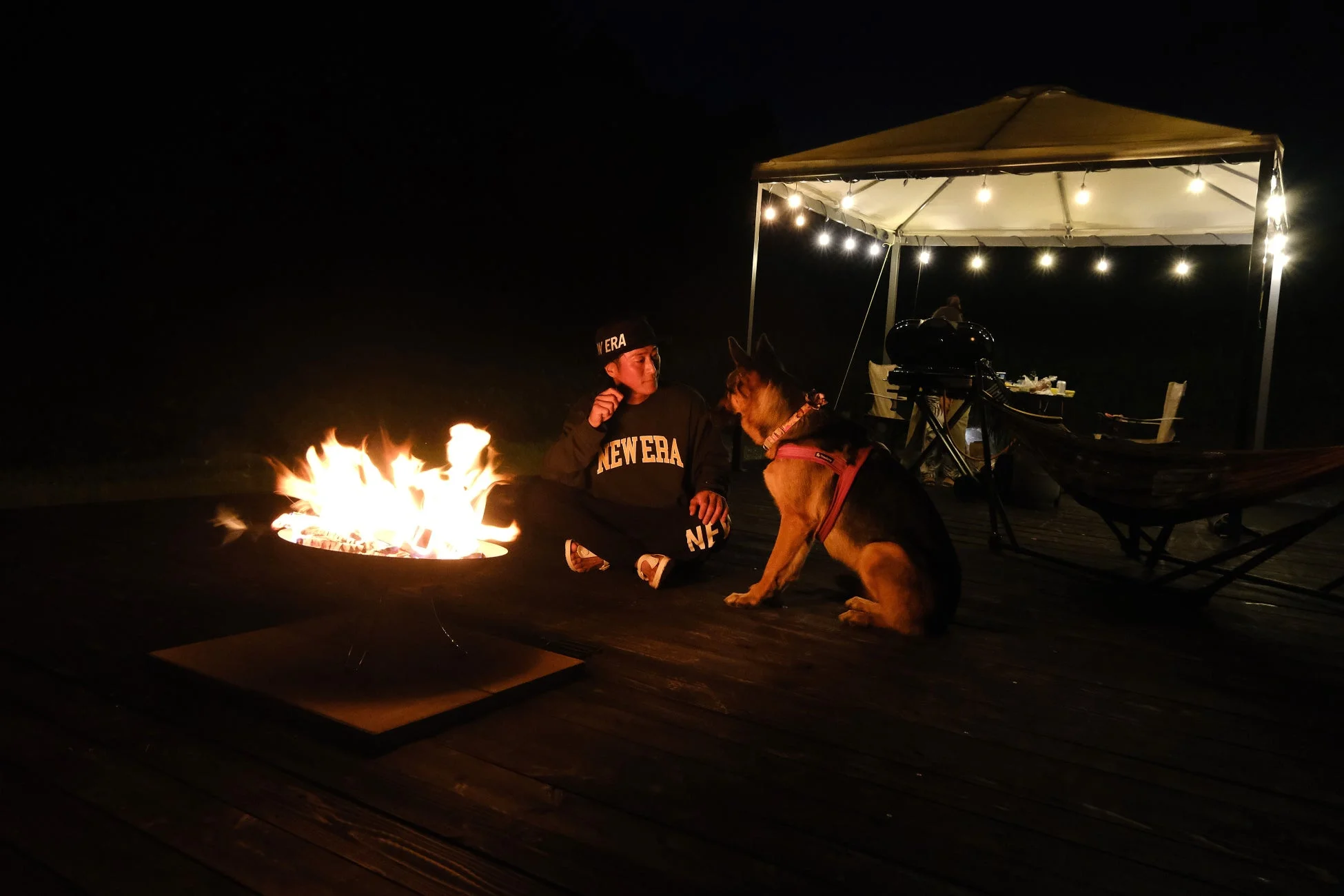 夜の屋外で、焚き火を囲んで人物と犬がくつろいでいます