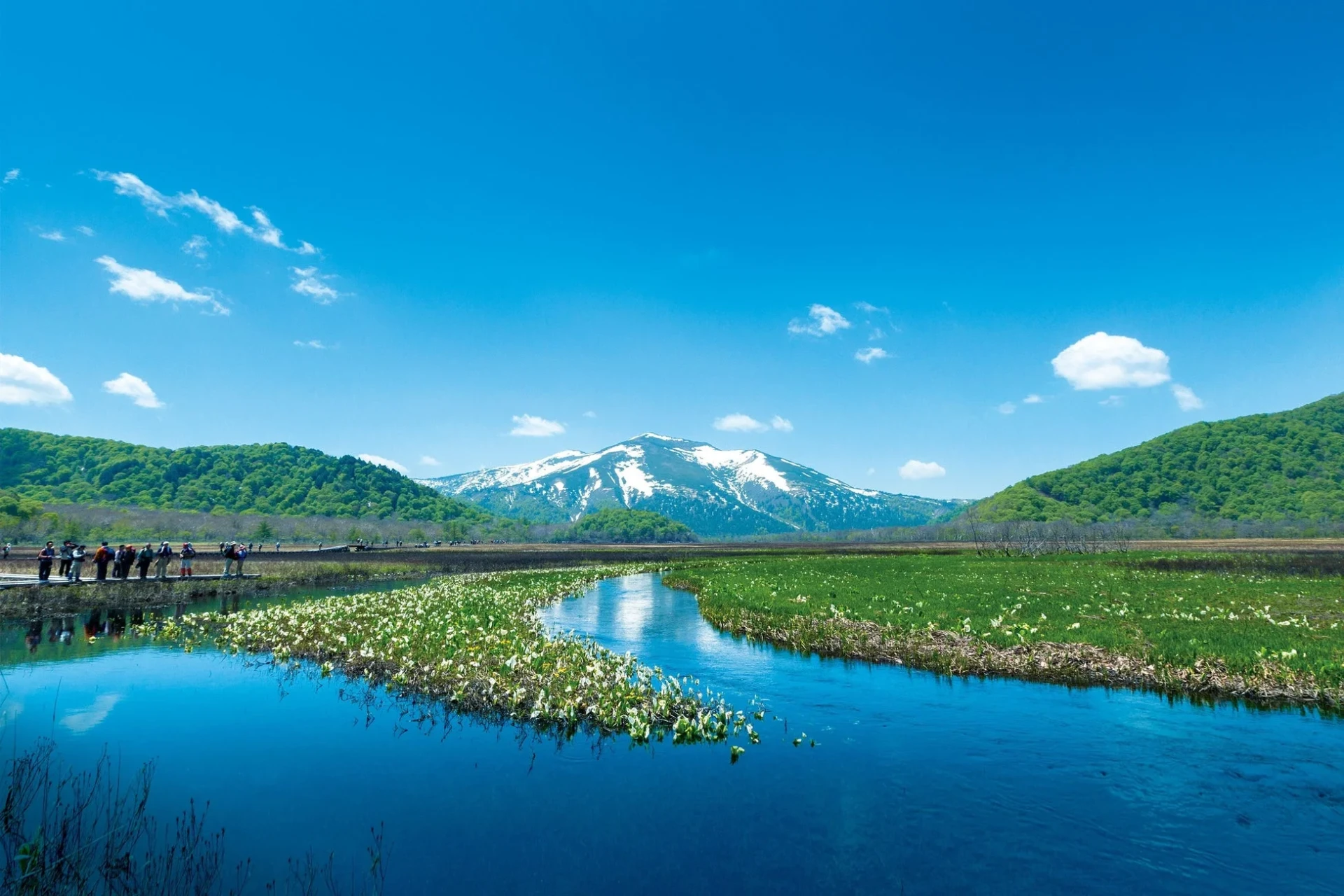 青い空と雪を抱いた山々を背景に、水芭蕉が咲き誇る湿原と清らかな川が広がる美しい自然風景