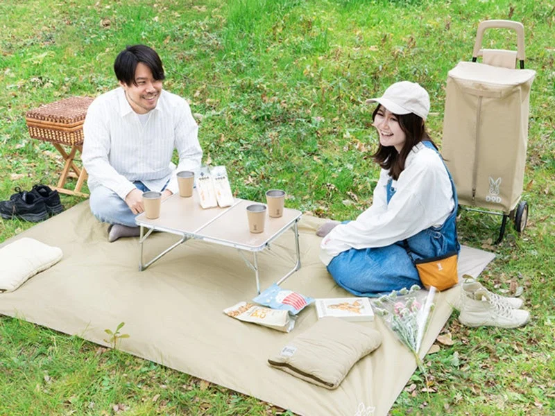 芝生でピクニックを楽しむ男女