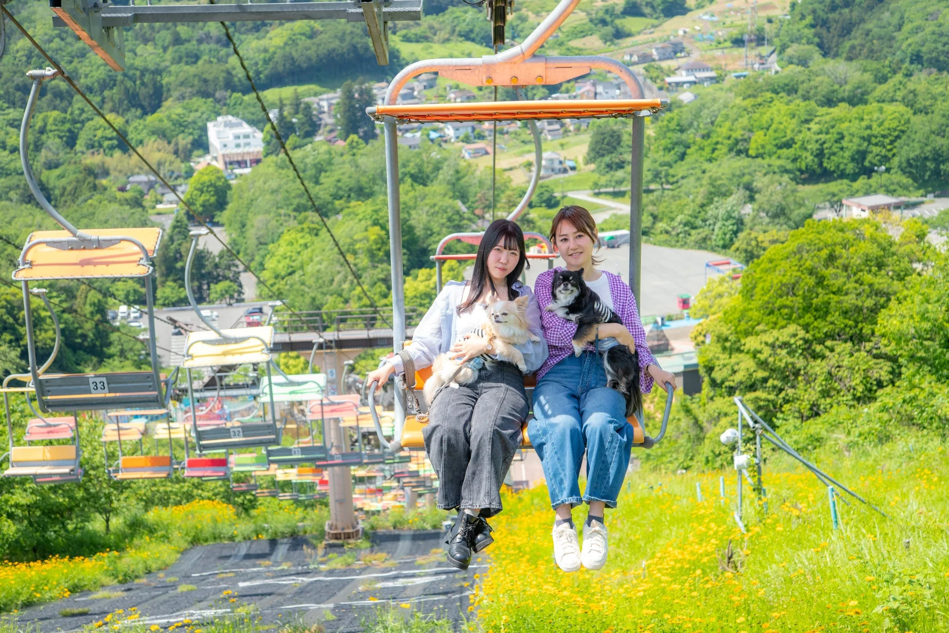 犬とチェアリフトに乗る