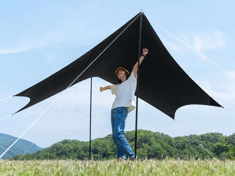晴れた青空の下、広々とした草原に張られた黒いタープの下で、一人の人物が両腕を上げて喜びを表しているアウトドアシーンです。